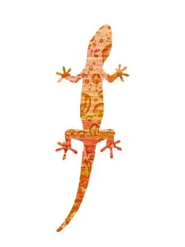 Gecko on white Stock Photos