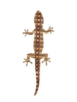 Gecko on white 스톡 사진