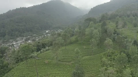 Gede-Pangrango volcano, Indonesia Stock Footage 202627219