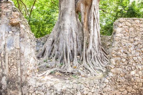 Gede ruins Foto stock