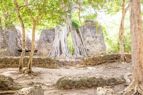 Gede ruins Stock Photos
