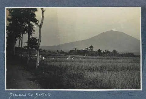 Gede volcano in Preanger on Java seen over fields with working farmers. Pa... Stock Photos