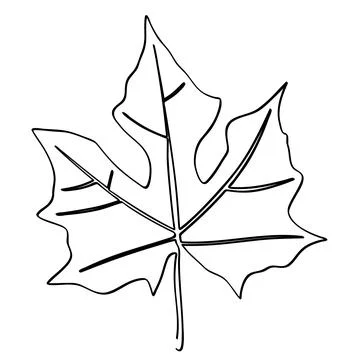 Gedi abelmoschus manihot leaf in simple sketch vector single or continuous .. Illustrazione stock