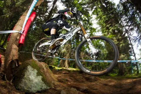 GEE ATHERTON Foto stock