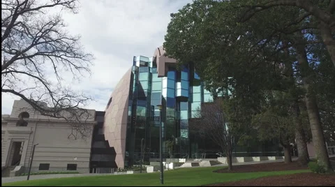 GEELONG LIBRARY Stock Footage 65435004