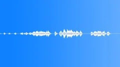 Geese 03Sound Effect