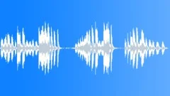 Geese 04Sound Effect
