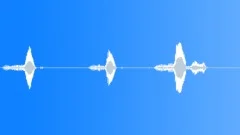 Geese 07Sound Effect