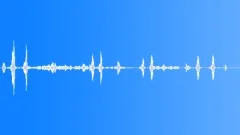 Geese 08Sound Effect