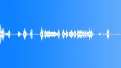 Geese #1 Sound Effect