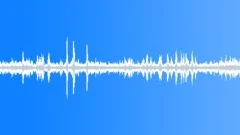 Geese 1 Sound Effect