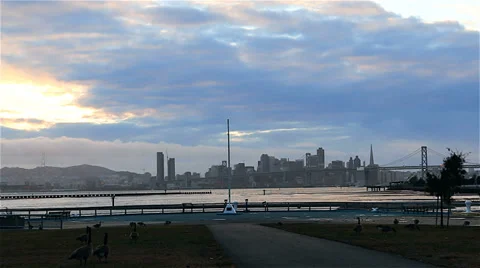 Geese and sf at dusk Video stock 34934164