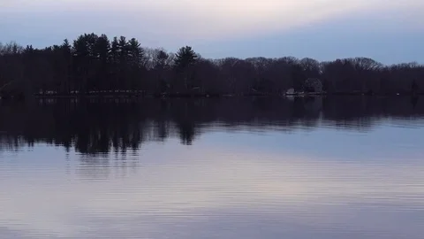 Geese Float By 库存影片 74121755