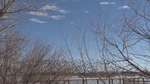 Geese Flying Away Stock Footage 36577750
