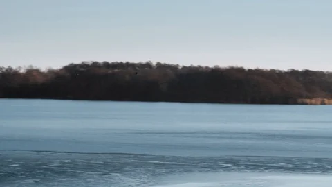 Geese flying over the pond Video stock 104732370