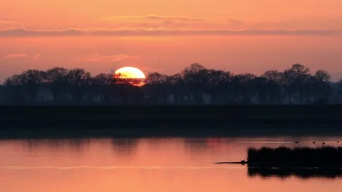 Geese flying over the water surface at sunset Stock Footage 203388508
