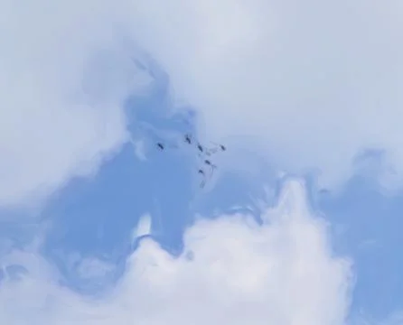 Geese Formation Stock Illustration