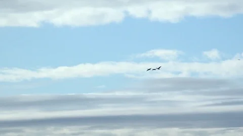 Geese high in the clouds flying 4K Video stock 82447372