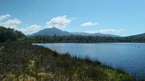 Geese on lake with mountain in background Stock Footage 260367633