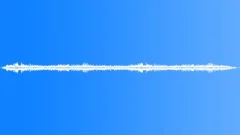 Geese, many, in pound. Sound Effect