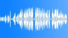 GeeseSound Effect