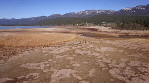 Geese Taking Off and Flying Alongside Flathead Lake Video stock 65523132