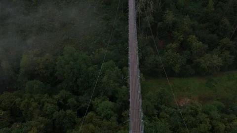 Geierlay bridge deck stretching over misty Hunsrück woodland 스톡 동영상 340367782