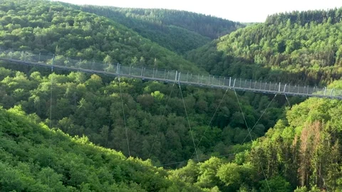 Geierlay Bridge Stock Footage 133526464