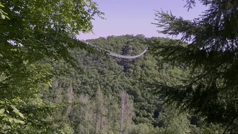 Geierlay Suspension Bridge Framed by Trees, Hunsrck Forest Valley, Germany Stock Footage 333892222