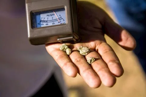 Geiger counter and trinitite in a human hand. Stock Photos