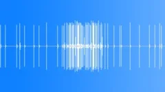 Geiger counterSound Effect