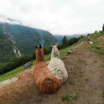 Geiranger Stock Photos