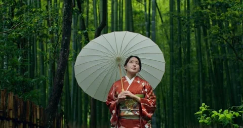Geisha with an umbrella Stock Footage 312013535