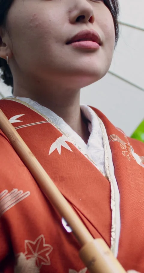 Geisha with an umbrella Stock Footage 313290158