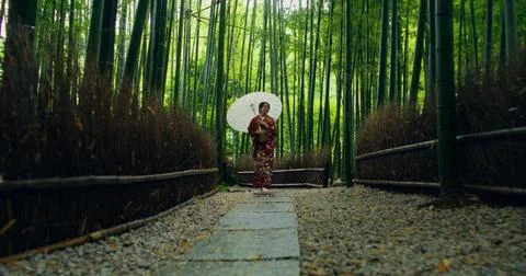 Geisha with an umbrella Stock Photos