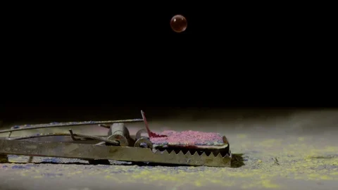 Gel ball activating a mouse trap with colorful powder, Ultra Slow Motion Stock-Footage 86576137