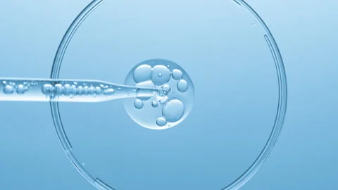 Gel with bubbles comes out from lab dropper into petri dish Stock Footage 167162520