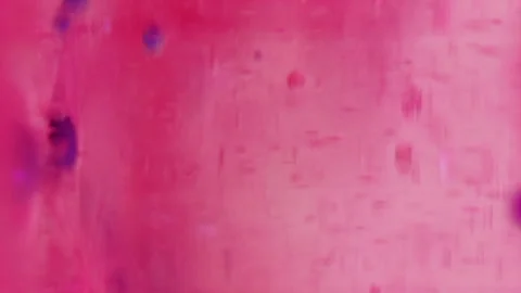 Gel bubbles texture paint drop defocused pink ink Video stock 267929850