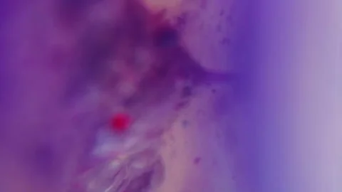 Gel fluid splash paint bubble purple ink droplet Stock Footage 270023800