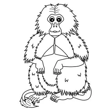 Gelada Monkey Isolated Coloring Page for Kids Stock Illustration