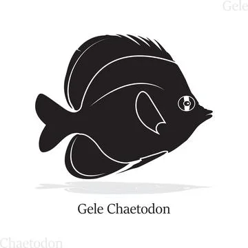 Gele Chaetodon Fish Vector Illustration with Detailed Fins and Transparent BG. Ilustración de archivo