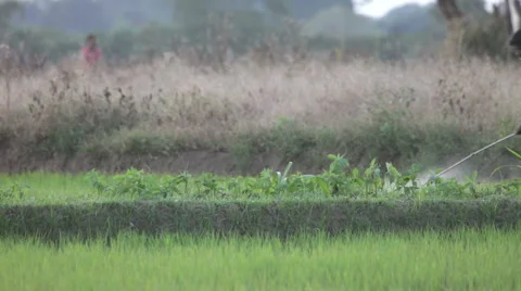 Gem industry Stock Footage 1180354
