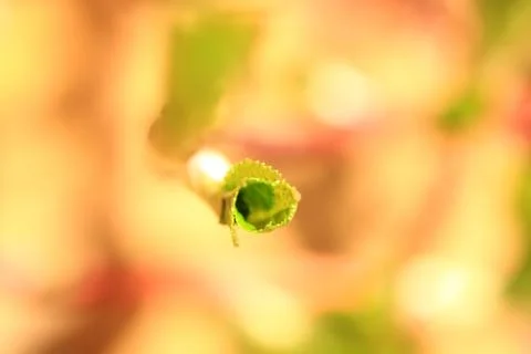 Gemalter Hintergrund Stock Photos