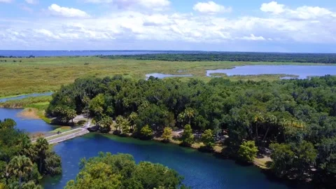 Gemini Springs Stock Footage 201342069