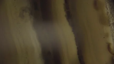 Gemstone Agate Under Microscope 4K Super Magnification Stockbeeldmateriaal 237700751