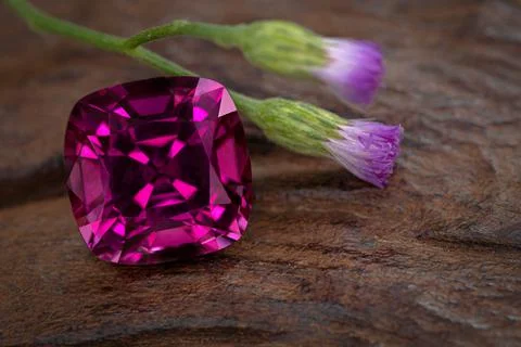 Gemstone Gem Diamond Ruby Emerald Sapphire Spinel Garnet Tourmaline Stock Photos