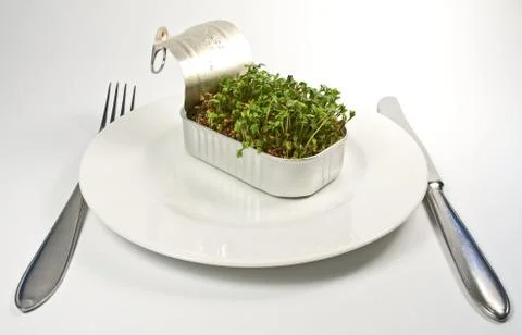 Gemüse aus der Dose Foto stock