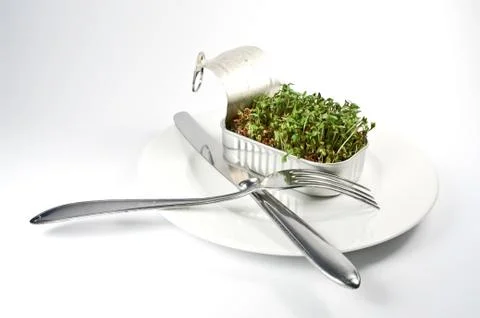 Gemüse aus der Dose Foto stock