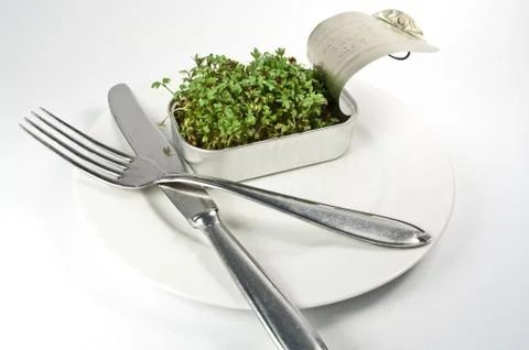 Gemüse aus der Dose Stock Photos