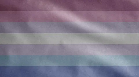 Gender binary flag waving in the wind. Binarism community banner blowing. Stock Photos